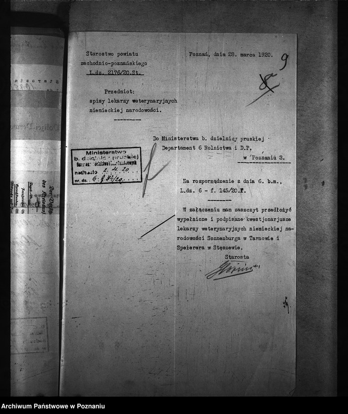 Obraz 13 z jednostki "[weterynarze narodowości niemieckiej]"