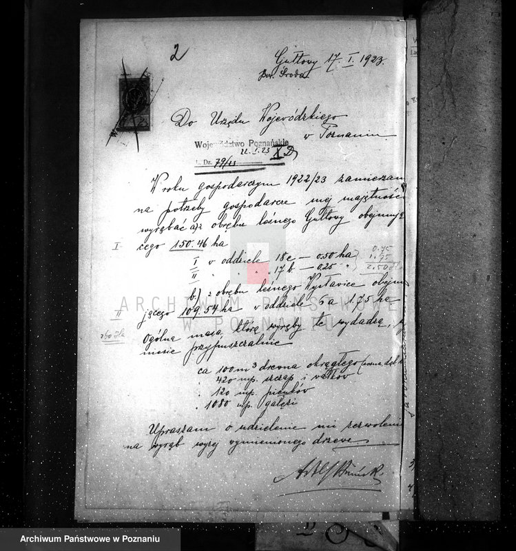 Obraz 6 z jednostki "Nadzór nad gospodarką w lasach majętności Gułtowy powiat średzki"