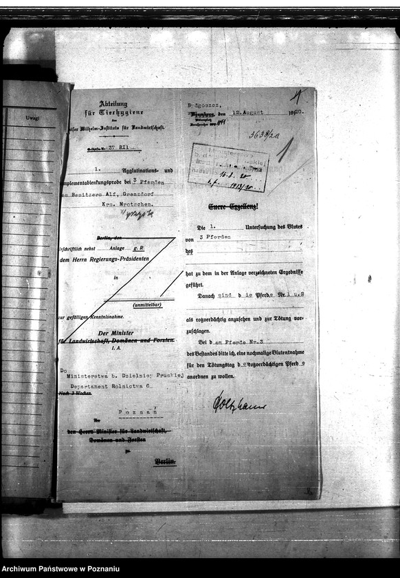 Obraz 5 z jednostki "Nosacizna - Wyrzysk"