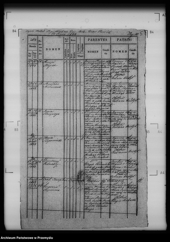Obraz 9 z jednostki "[Kopie ksiąg metrykalnych parafii Siebieczów z filiami Leszczaków, Piwowszczyzna, Rusin, Wierzbiąż (dekanat Bełz)]"