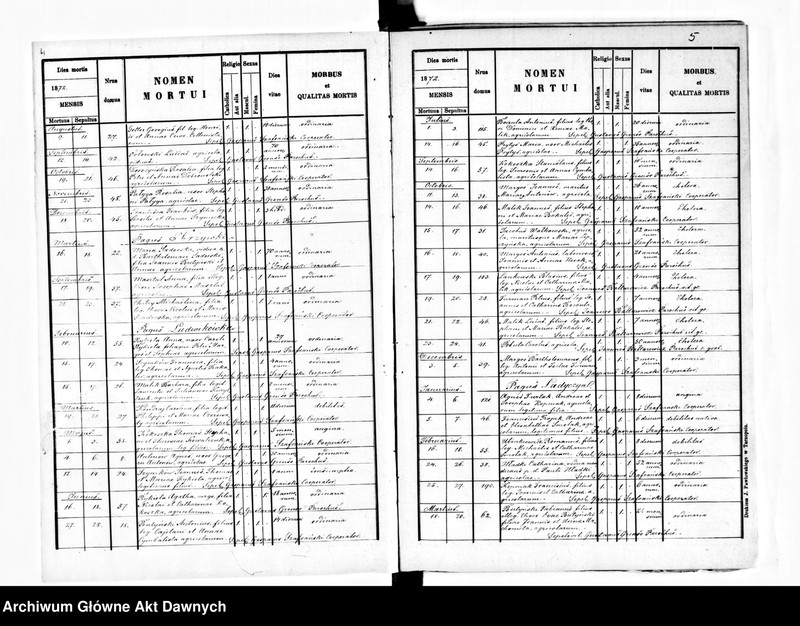 image.from.unit.number "Parafia: Mikulińce. Dekanat: Trembowla. Księga metrykalna urodzeń, ślubów i zgonów dla miasta Mikulińce i wsi: Konopkówka, Krzywki, Łuczka, Wola Mazowiecka, Ładyczyn*, Ludwikówka*, Myszkowice**, Czartorja**, Łuka Wielka**."