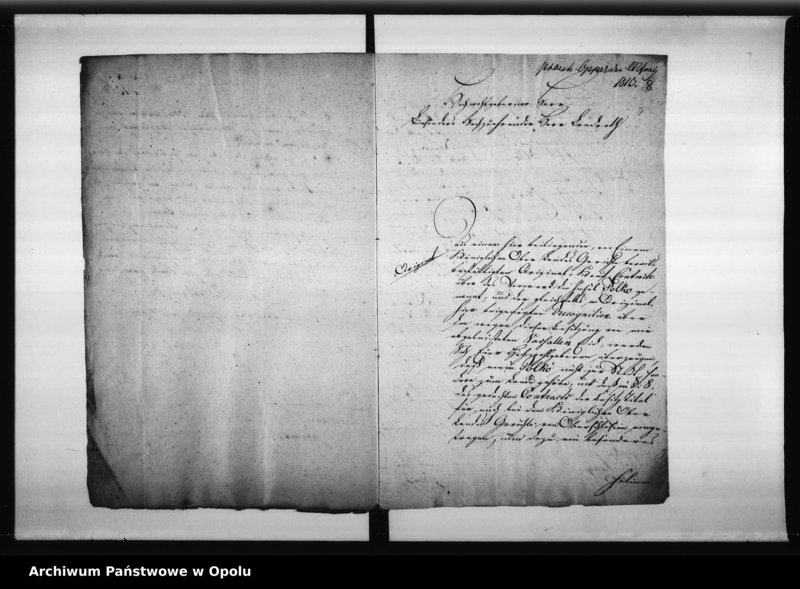 Obraz 11 z jednostki "Acta des Magistrats zu Oppeln ueber die Frage ob die ehemalige Minoritten Innsel Polko zum Lande oder zum städtischen Verbande gehören? 1813"