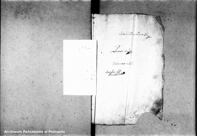 Obraz 6 z jednostki "Inscriptiones, relationes, decreta [inducta]"