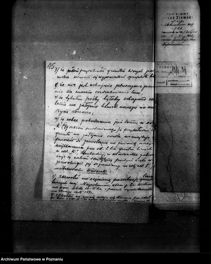 Obraz 19 z jednostki "Las majątku Napoleonów nr 1 własność Eweliny Wisłockiej powiat turecki"