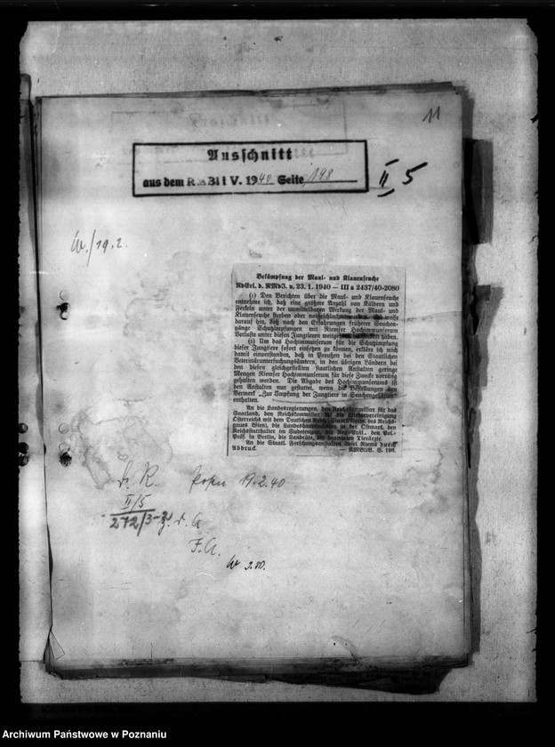 Obraz 15 z jednostki "Maul - und Klauenseuche"