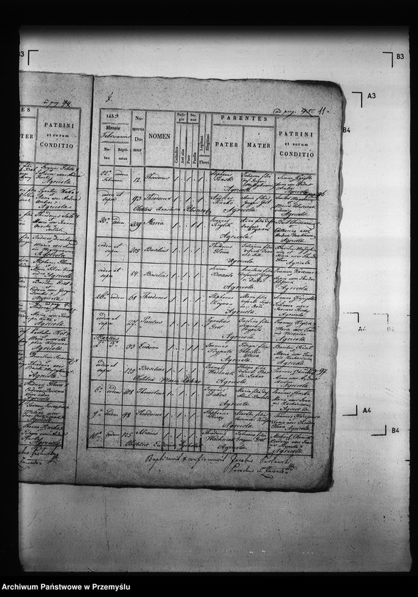 Obraz 15 z jednostki "[Kopie ksiąg metrykalnych parafii Zawadów (dekanat Niemirów)]"