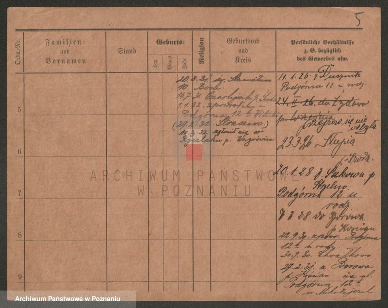 Obraz 7 z jednostki "Mikołajczak (żonaci i wdowy)"