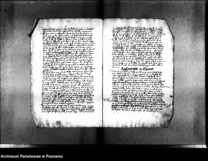 Obraz 13 z jednostki "Inscriptiones, relationes, decreta [inducta]"