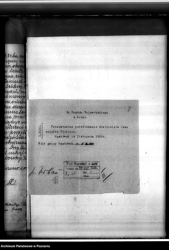 Obraz 12 z jednostki "Sprawa o niedostateczne zalesienie lasu 16,24 ha w majątku Tłokinia"