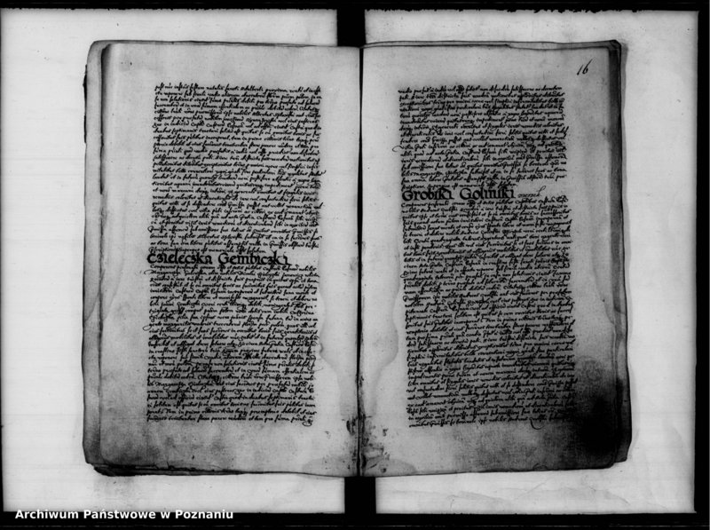 Obraz 19 z jednostki "Inscriptiones, relationes [inducta]"