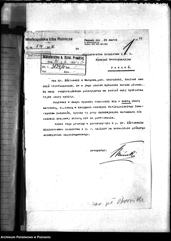 Obraz 5 z jednostki "Zaraza płucna - Oborniki"