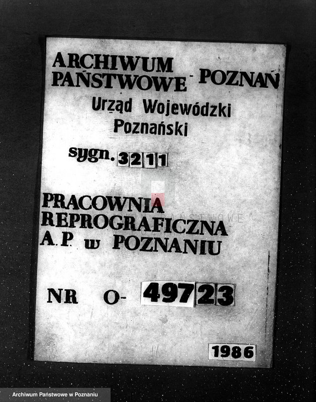Obraz 1 z jednostki "Majętność leśna w Sarbii w powiecie czarnkowskim"