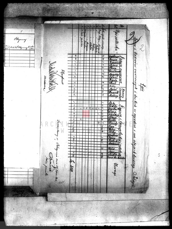 Obraz 6 z jednostki "Drzewostan majętności Pałczyn"