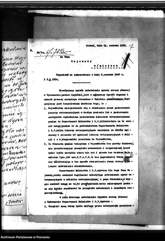 Obraz 11 z jednostki "Zaraza płucna - Kępno"