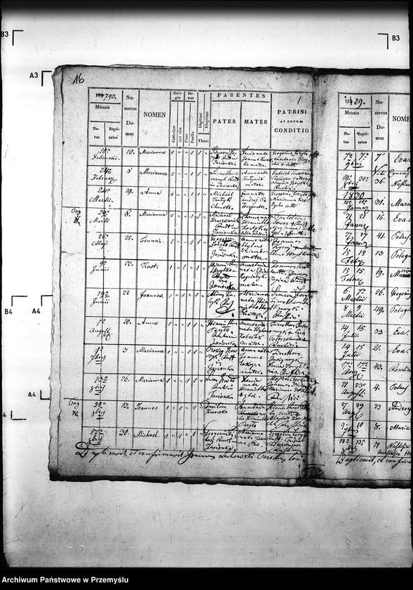 Obraz 20 z jednostki "[Kopie ksiąg metrykalnych parafii Krzywa z filiami Jasionka, Wołowiec (dekanat Gorlice)]"