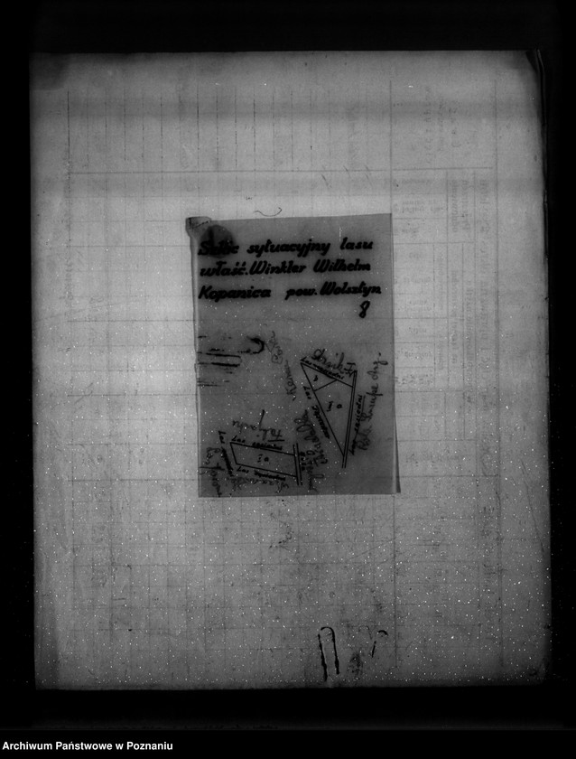 Obraz 13 z jednostki "/Program gospodarstw leśnych znajdujących się na terenie powiatu wolsztyńskiego/"