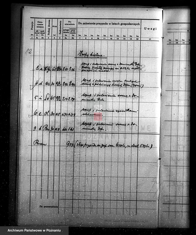 Obraz 16 z jednostki "Program urządzenia gospodarstwa leśnego dla lasu majętności Kobylepole powiat poznański 1933/34-1938/39"