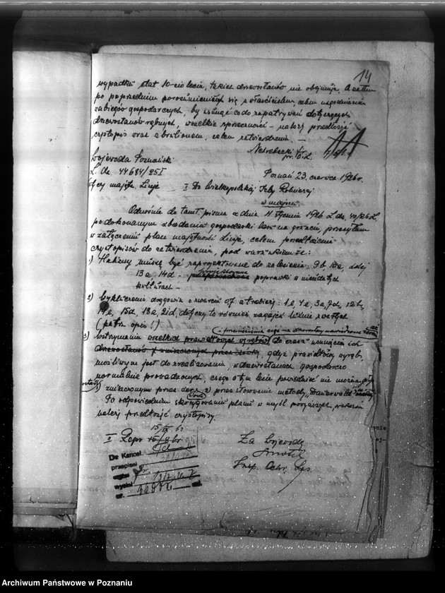 Obraz 19 z jednostki "Majętność leśna Linie w powiecie nowotomyskim"