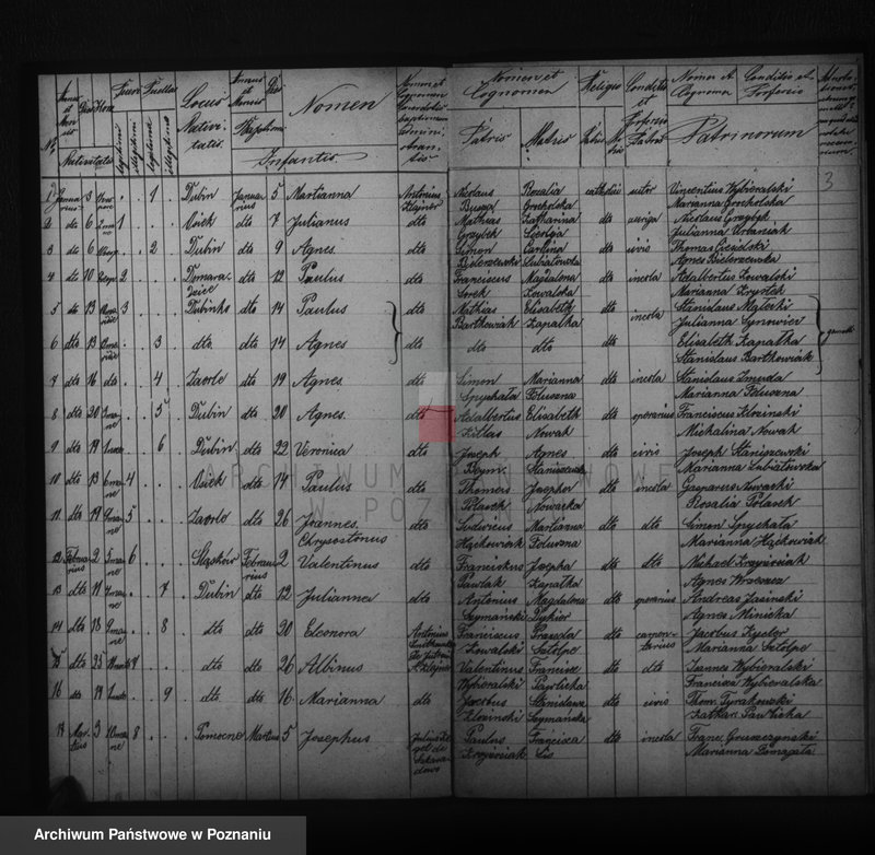 image.from.unit.number "Duplikatus baptisatorum, copulatorum, mortuorum"