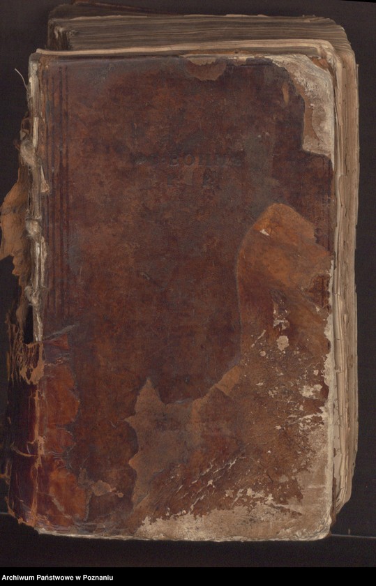 Obraz 3 z jednostki "Acta consularis officii civitatis Posnaniae."