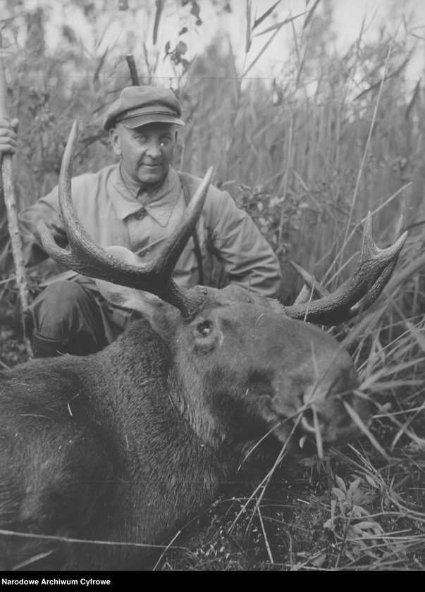 image.from.unit.number "Polowanie na łosie w majątku hrabiego Jarosława Potockiego"