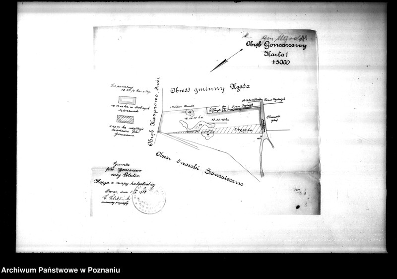Obraz 17 z jednostki "Majętności Potulice powiatu bydgoskiego przymusowy wykup"