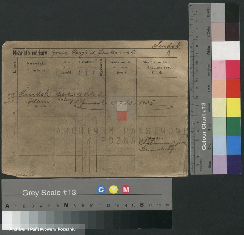 Obraz 5 z jednostki "Siudak - Sjögren"