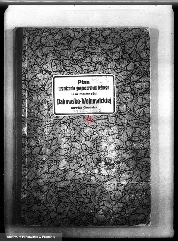 Obraz 4 z jednostki "Plan urządzenia gospodarstwa leśnego lasu majętności Dakowsko-Wojnowickiej w powiecie nowotomyskim"