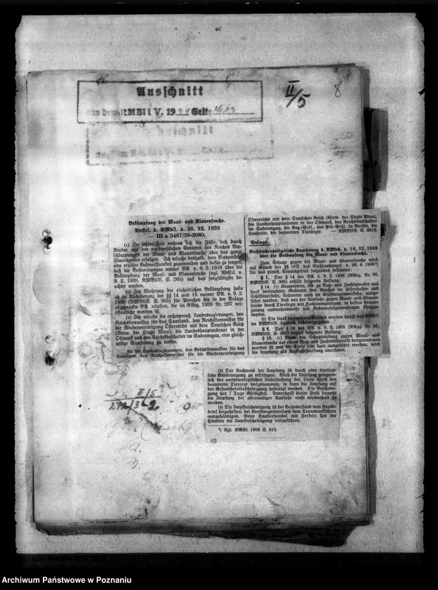 Obraz 12 z jednostki "Maul - und Klauenseuche"