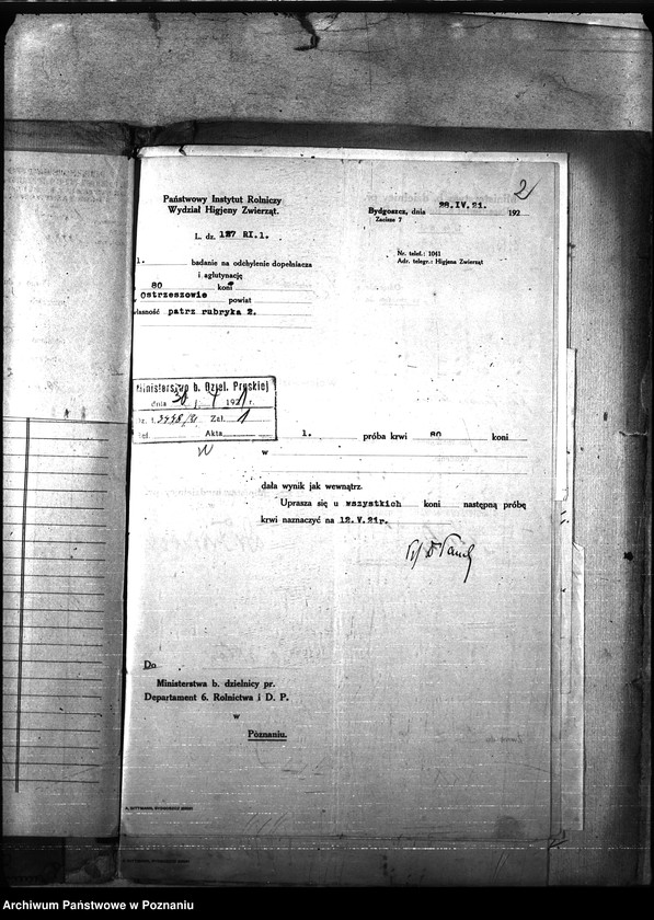 Obraz 6 z jednostki "Nosacizna - Ostrzeszów"