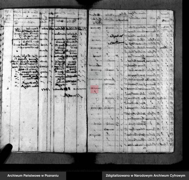 Obraz 15 z jednostki "Duplikat baptisatorum, copulatorum, mortuorum"