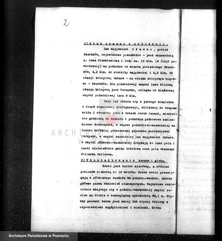 Obraz 6 z jednostki "/Opis lasu majętności Sławno w powiecie czarnkowskim/"