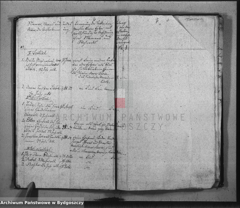 image.from.unit.number "Duplicate der Civil Standes Bücher der Juden Gemeinde zu Trzemeszno"