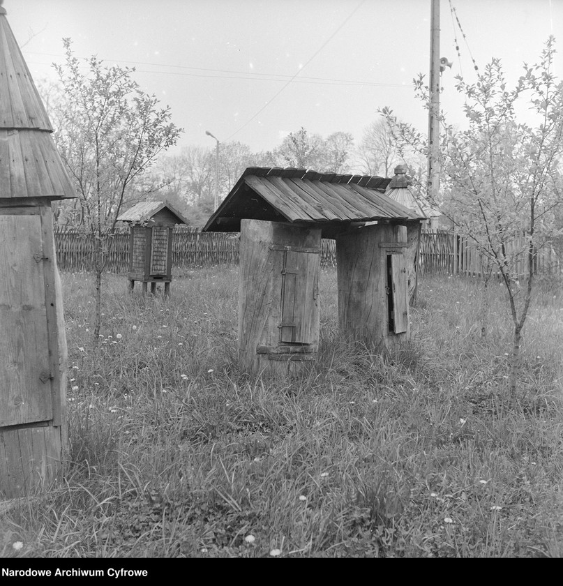image.from.collection.number "Bartnictwo że Ho! Ho!111"