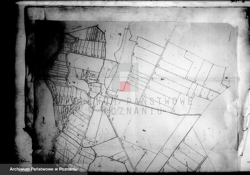 Obraz 6 z jednostki "Łabiszyn powiatu szubińskiego plany parcelowanego majątku"