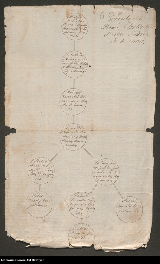image.from.unit.number "Szołdrski h. Łodzia. Tablice genealogiczne. Notatka do genealogii. Szołowski h. Wczele. Notatka do genealogii. Sztyma h. Robisław. Opis herbu. Szujkowski h. Ogończyk. Tablica genealogiczna. Wywód 16 przodków Józefa Szujkowskiego.  Szulborski h. Mora. Tablica genealogiczna. Szumlański h. Korczak. Tablica genealogiczna. Notatki do genealogii. Szwarcenberg Czerny h. Nowina. Notatka do genealogii. Szydłowski h. [Lubicz]. Tablice genealogiczne. Notatka do genealogii."