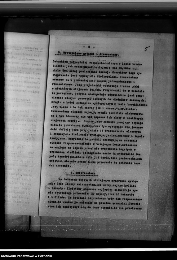 Obraz 9 z jednostki "Program urządzania gospodarstwa leśnego majętności Brachlin -powiat kościański"