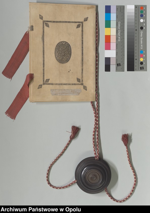 Obraz 11 z kolekcji "Futerał na dokumenty111"