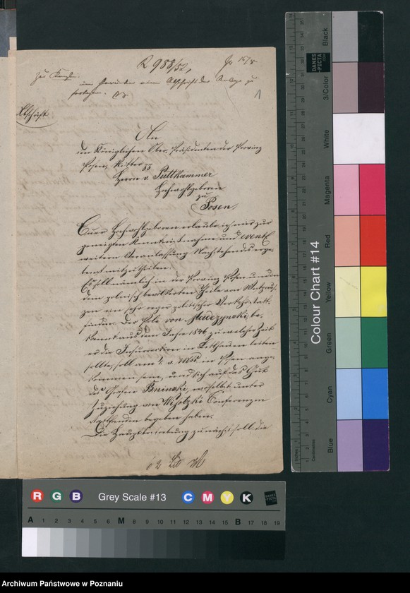 Obraz 4 z jednostki "A. betr. von Magdzinski"