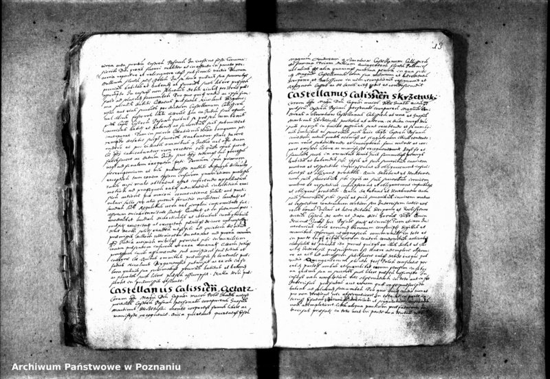 Obraz 20 z jednostki "Inscriptiones [inducta]"