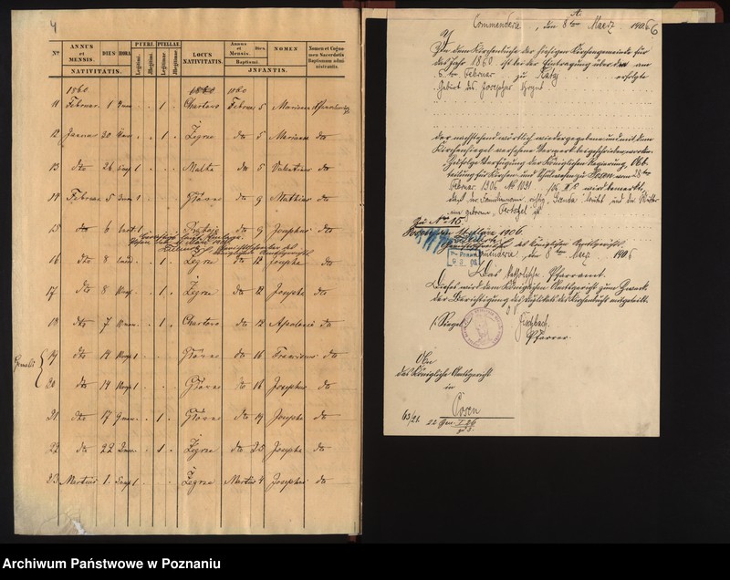 Obraz 6 z jednostki "Duplicat baptisatorum"