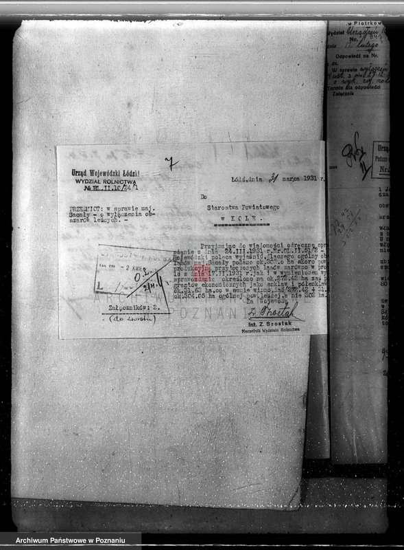 Obraz 11 z jednostki "Sprawa lasów majątku Sacały powiat kolski gmina Koźmin"