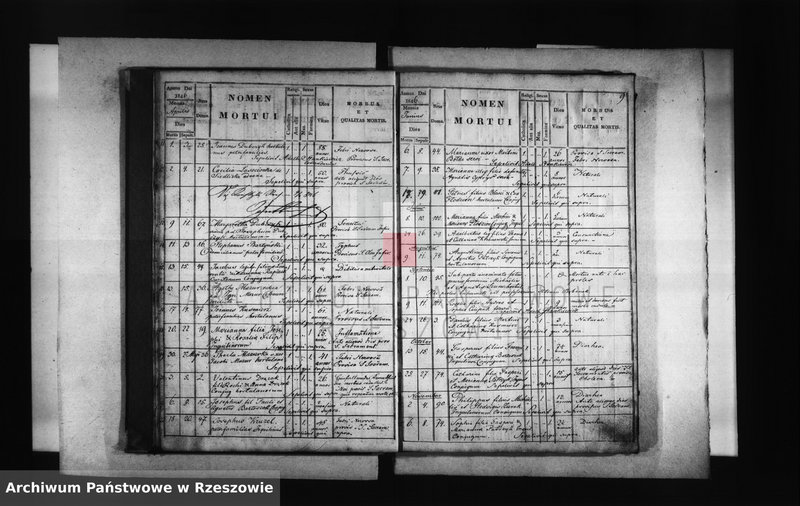 image.from.unit.number "Księga zgonów - Borek Stary"