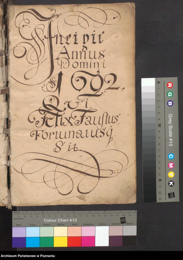 Obraz 3 z jednostki "Acta officii et iudicii consularis civitatis Posnaniae."