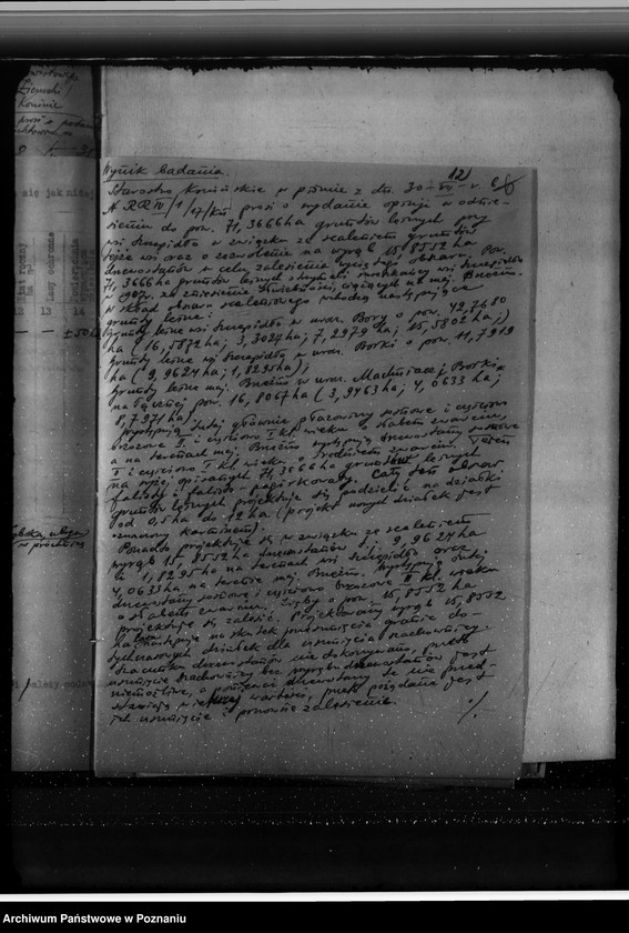 Obraz 17 z jednostki "Gmina Brzeźno powiat koniński /nadzór nad gospodarką leśną/"