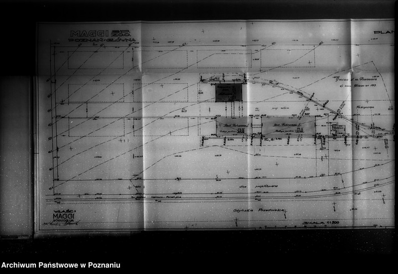 Obraz 16 z jednostki "Firma "Maggi" Spółka z o.o. Poznań-Główna nr woj. 6561"