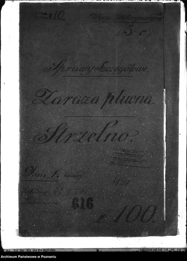 Obraz 4 z jednostki "Zaraza płucna - Strzelno"