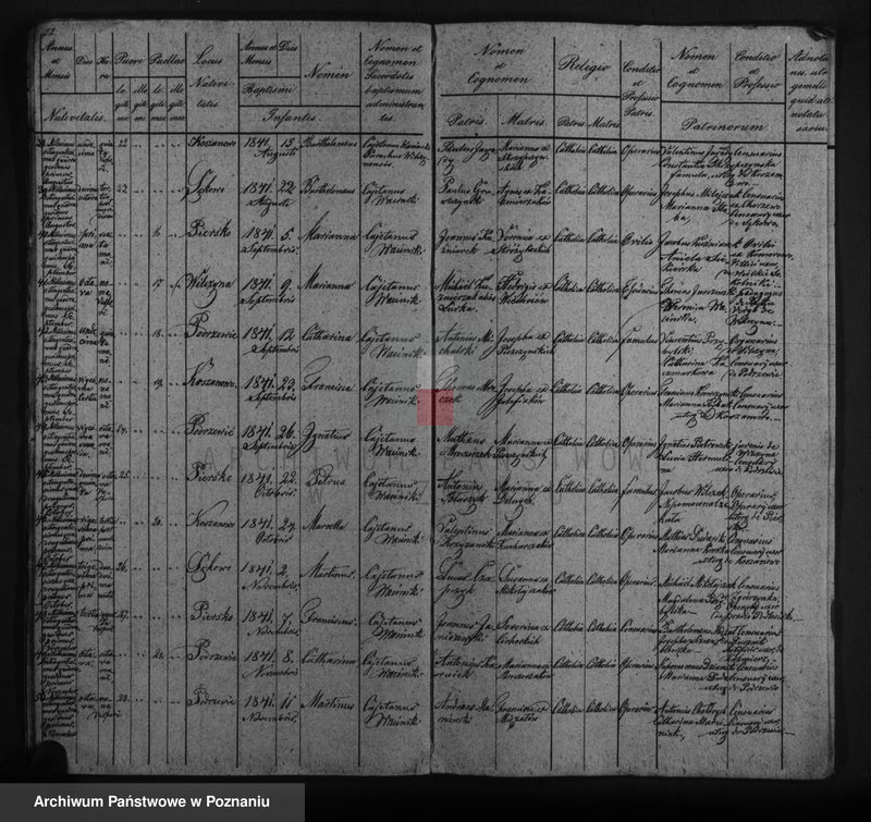 image.from.unit.number "Duplicat baptisatorum, copulatorum, mortuorum"
