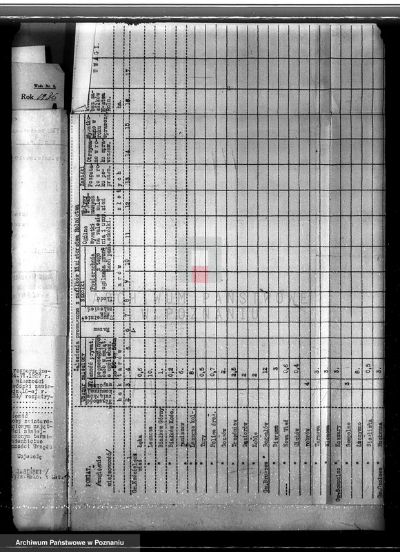 Obraz 8 z jednostki "Zalesienie nieużytków w powiecie kolskim"