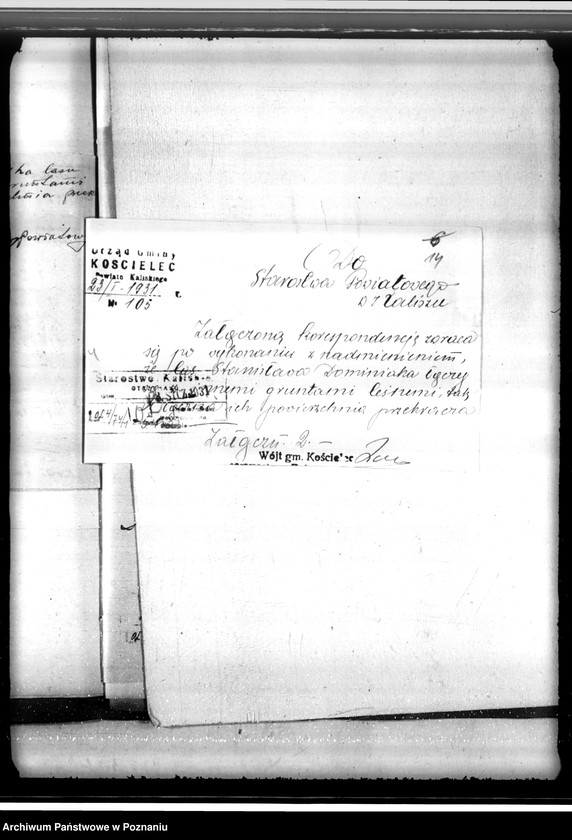 Obraz 18 z jednostki "Gmina Kościelec powiat kaliski /sprawy leśne/"